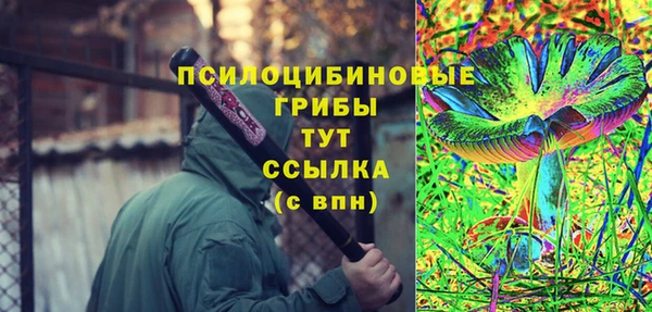 apvp Кукмор