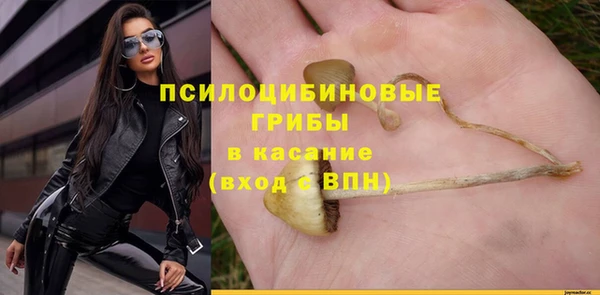 apvp Кукмор
